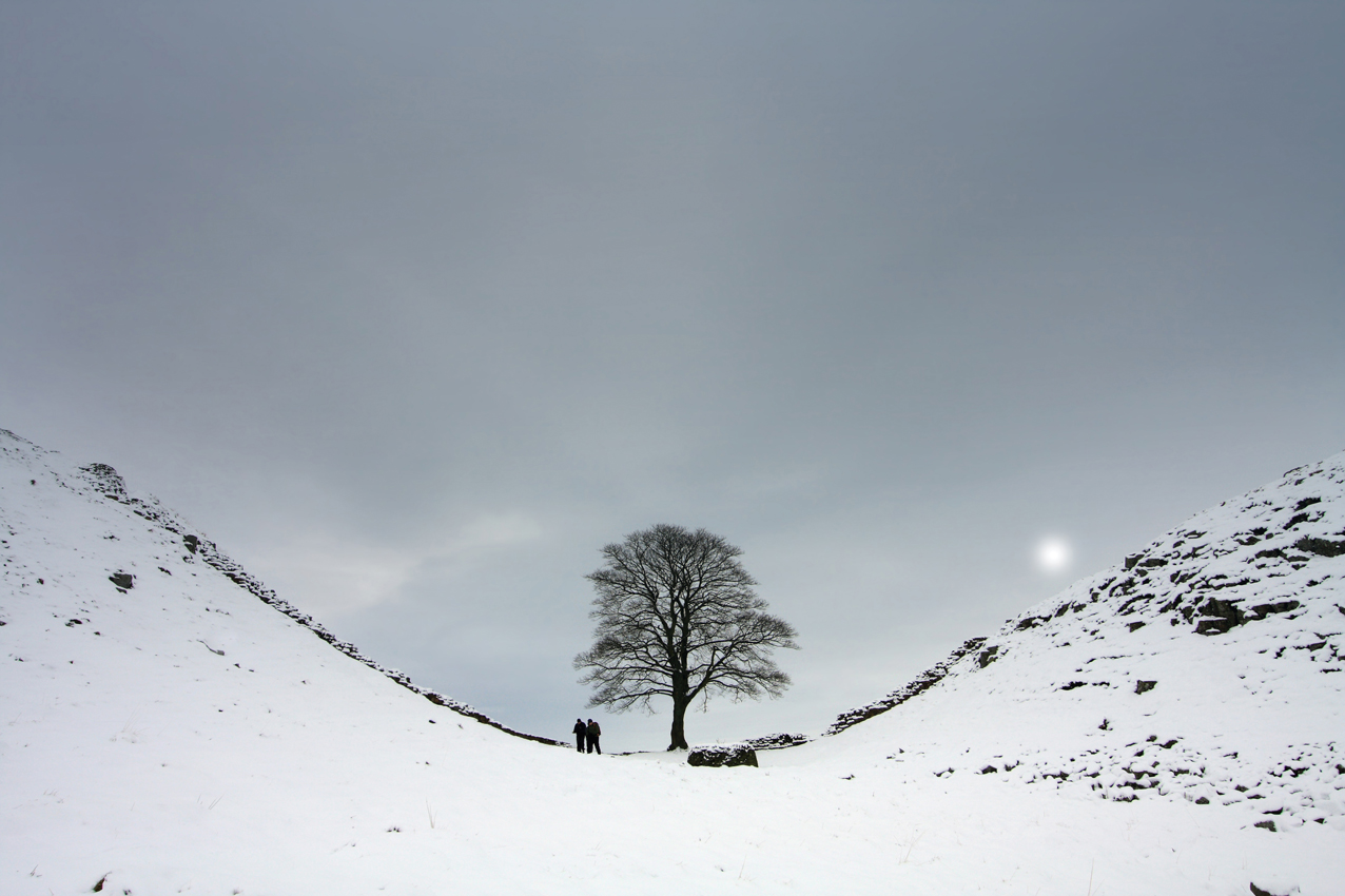 Sycamore Gap on Hadrians Wall, Northumberland