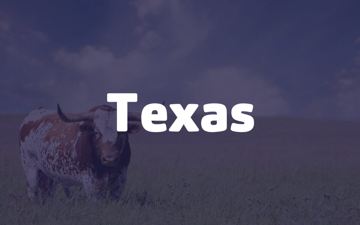 Texas-1.jpg
